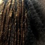 Faux Loc over locs Takedown