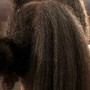 Large Knotless/ Box Braid Takedown