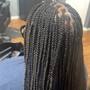 Smedium Traditional Box Braids