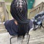 Kid's Braids