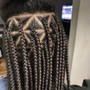 Havana Twists