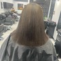 Partial Balayage / Highlights + Silk Press