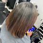 Partial Balayage / Highlights + Silk Press