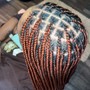 Tribal / Fulani braids (Small)