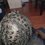 Kid's Braids ages 1-4 natural hair style