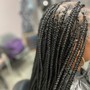 box braids/( medium)