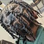 Interlock Starter locs