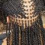 Box Braids