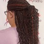 Havana Twists