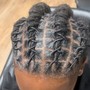 Loc Re-twist & Style