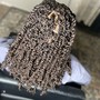 Passion Twist (Bob Length)