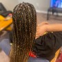 Medium Senegalese Twist