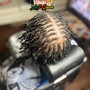 Small Starter locs- Natural Twists