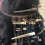 Loc Retwist (100+ locs)