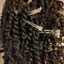 2-strand Natural Twists