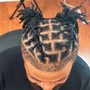 Starter Locs