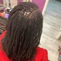 Dreadlocks(Wicks) short