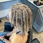 Starter Locs