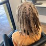 Starter Locs