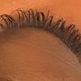 Strip Lashes