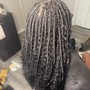 Root Touch Up