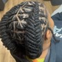 Adult Two Strand Twists