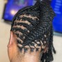 Adult Two Strand Twists