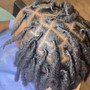 Starter Locs