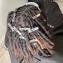 Starter Locs