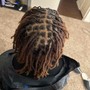 Starter locs