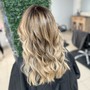 Root Touch Up, Full Highlights