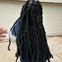 Large butterfly locs (Mid back)