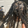 Large invisible locs (mid back)