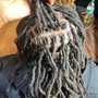 Starter Locs W/ Two Strand Twist Style