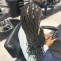 Twists, Individual Braids w/ Natural Hair