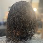 Starter Locs