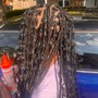 Box Braids