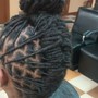 Starter Locs