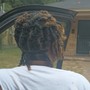 Starter Locs