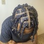 2 Strand Twist/Juicy Twist