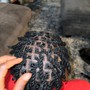 Mens braids