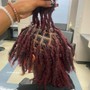 Starter Locs