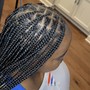 Individual Braids (plaits)