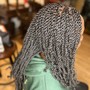 Two Feed in Braids