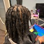 Starter Dreadlocks