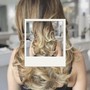 Full Highlights, Hydration Treatment, Signature Blow-dry & Style