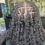 Crochet Braids