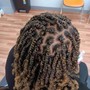 Comb twist/ Coils