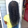 Box Braids (large)