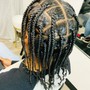 Box Braids (no hair added)